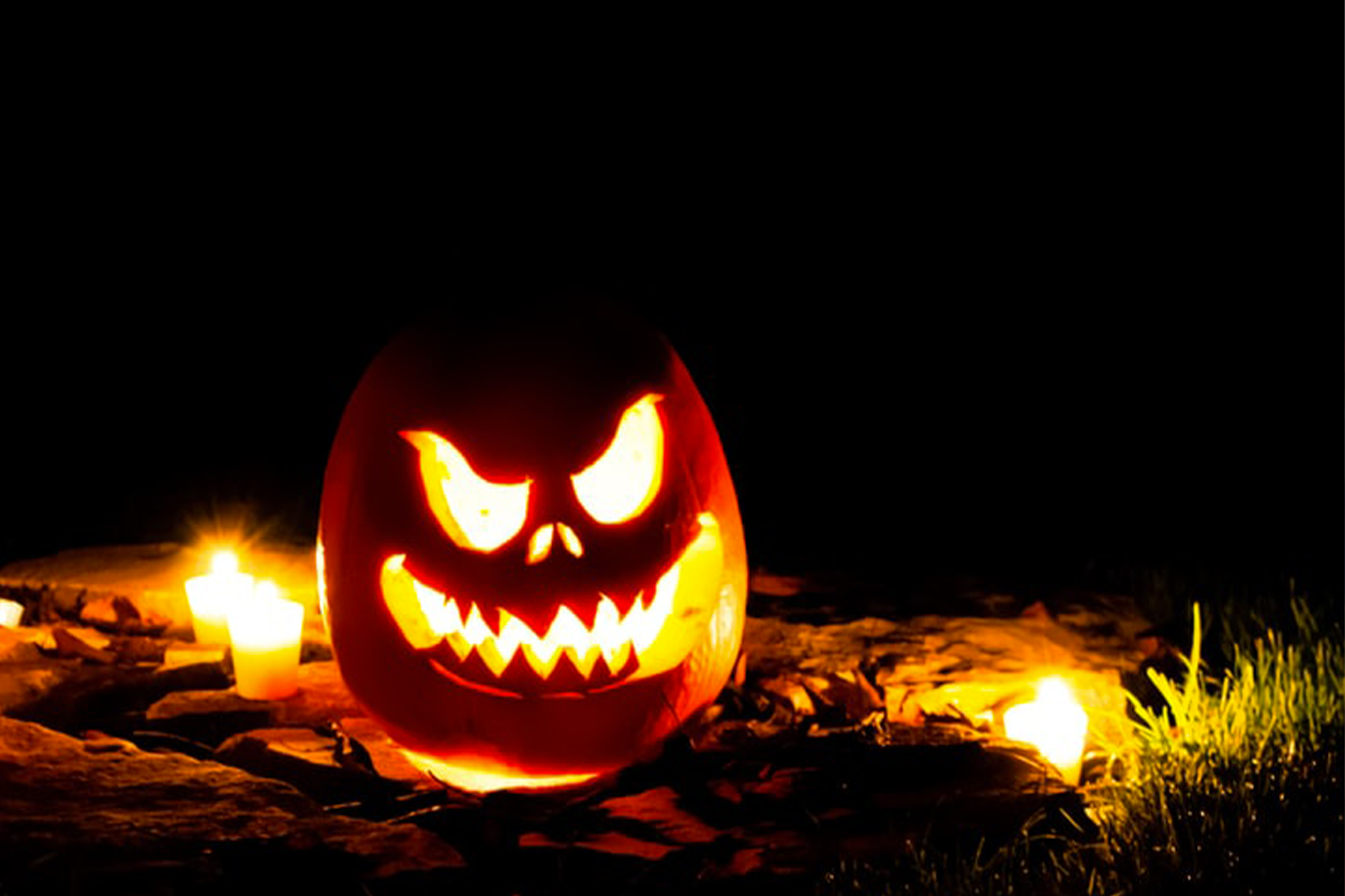 5 films (et vins) pour une fête d'Halloween d'enfer 5 films (et vins) pour une fête d'Halloween d'enfer