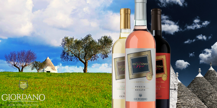 Les meilleurs vins des Pouilles ? Découvrez les meilleurs produits de la région !