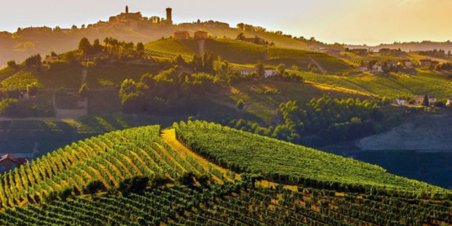 Langhe, Roero et Monferrato : les voyages du mois de septembre