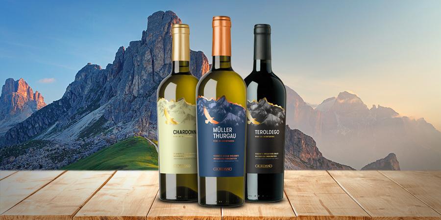 Un voyage parmi les vins du Trentin Un voyage parmi les vins du Trentin
