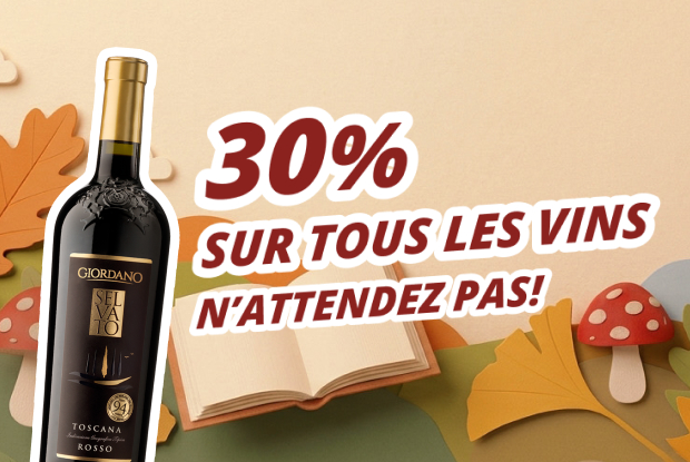 30% REMISE