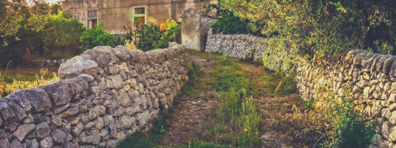 Le zone pi vocate della Sicilia