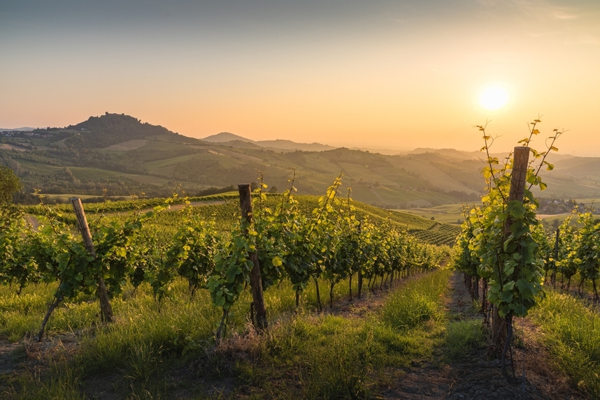 Zones de production et caractristiques des vins rouges et blancs lombards
